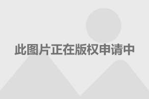 热带气旋最新动态与风暴中的温情故事