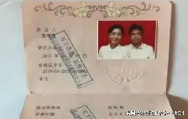 2024天天彩全年免费资料,详细数据解读_明星版11.680
