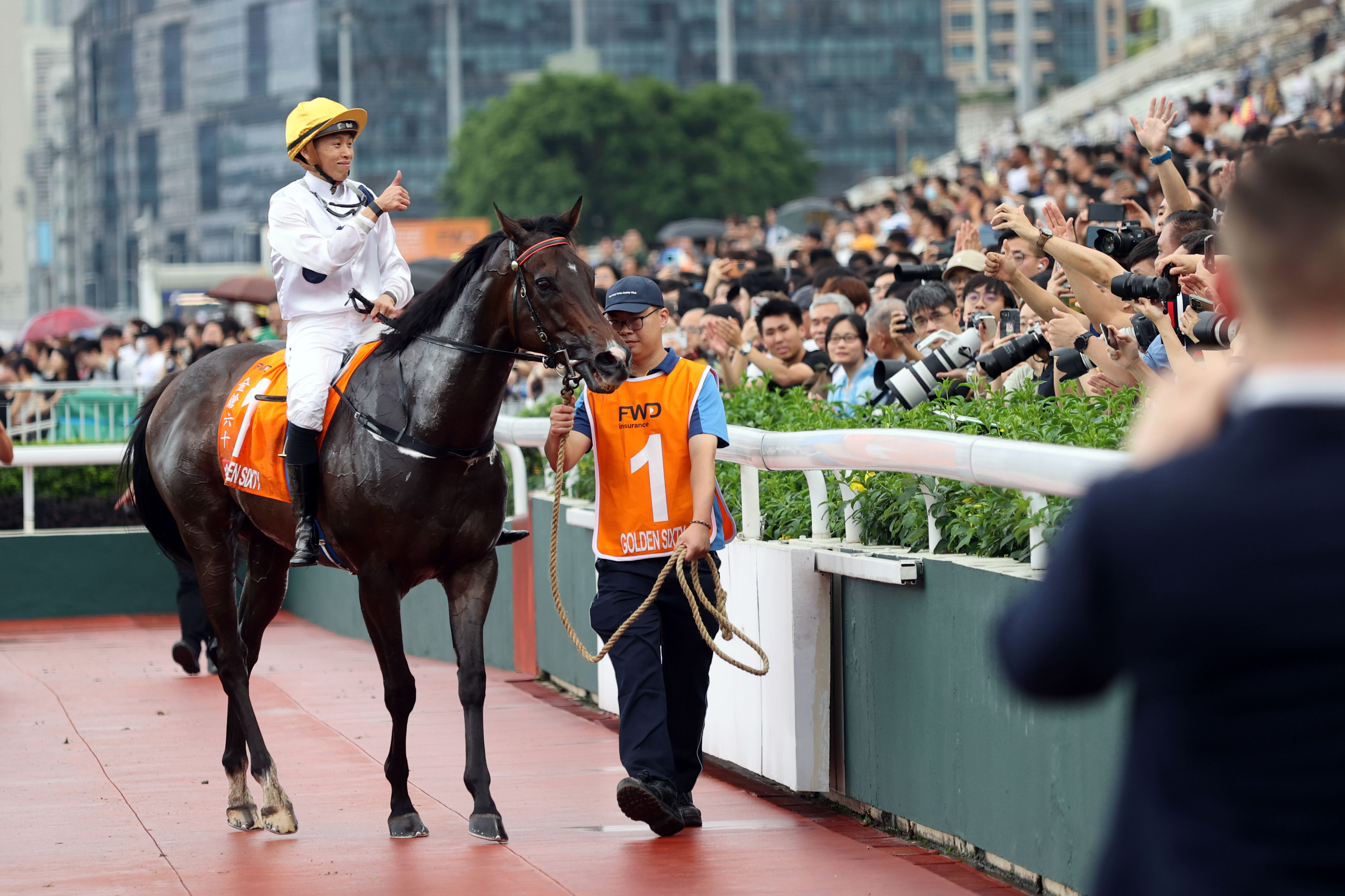 2024香港赛马全年免费资料,专家意见法案_收藏版6.401