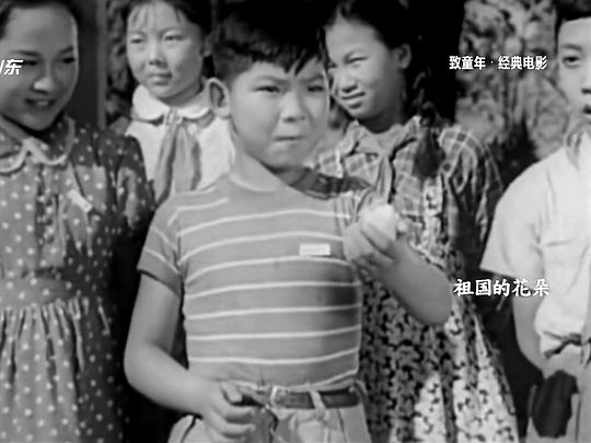 祖国的花朵电影，深度探讨影响与启示