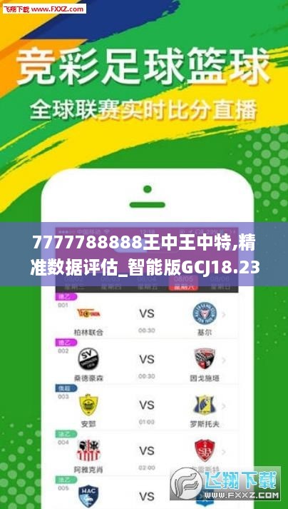 7777788888王中王中特,灵活性执行方案_紧凑版32.243