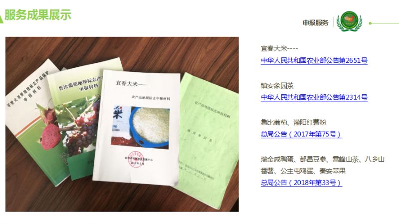 王中王资料大全料大全1,快速解决方式指南_视频版89.754