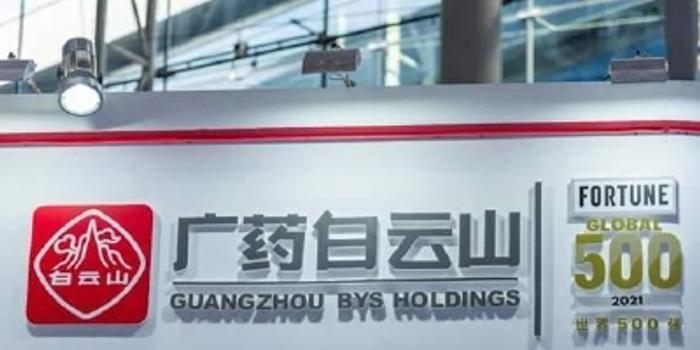白云山上市时间及独特美味探寻之旅