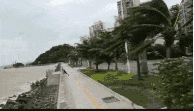 珠海台风最新动态，风雨中的励志故事