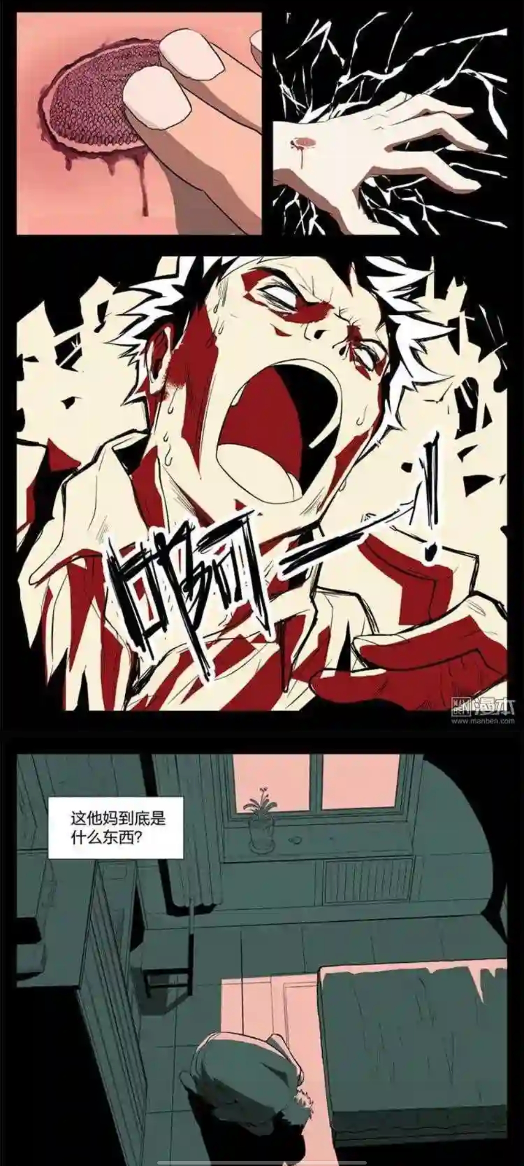 探索重口味动漫，背景、影响与时代地位