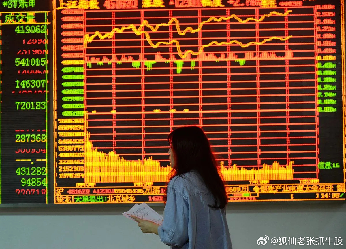 上证指数股票000001，心灵与自然的美丽之旅