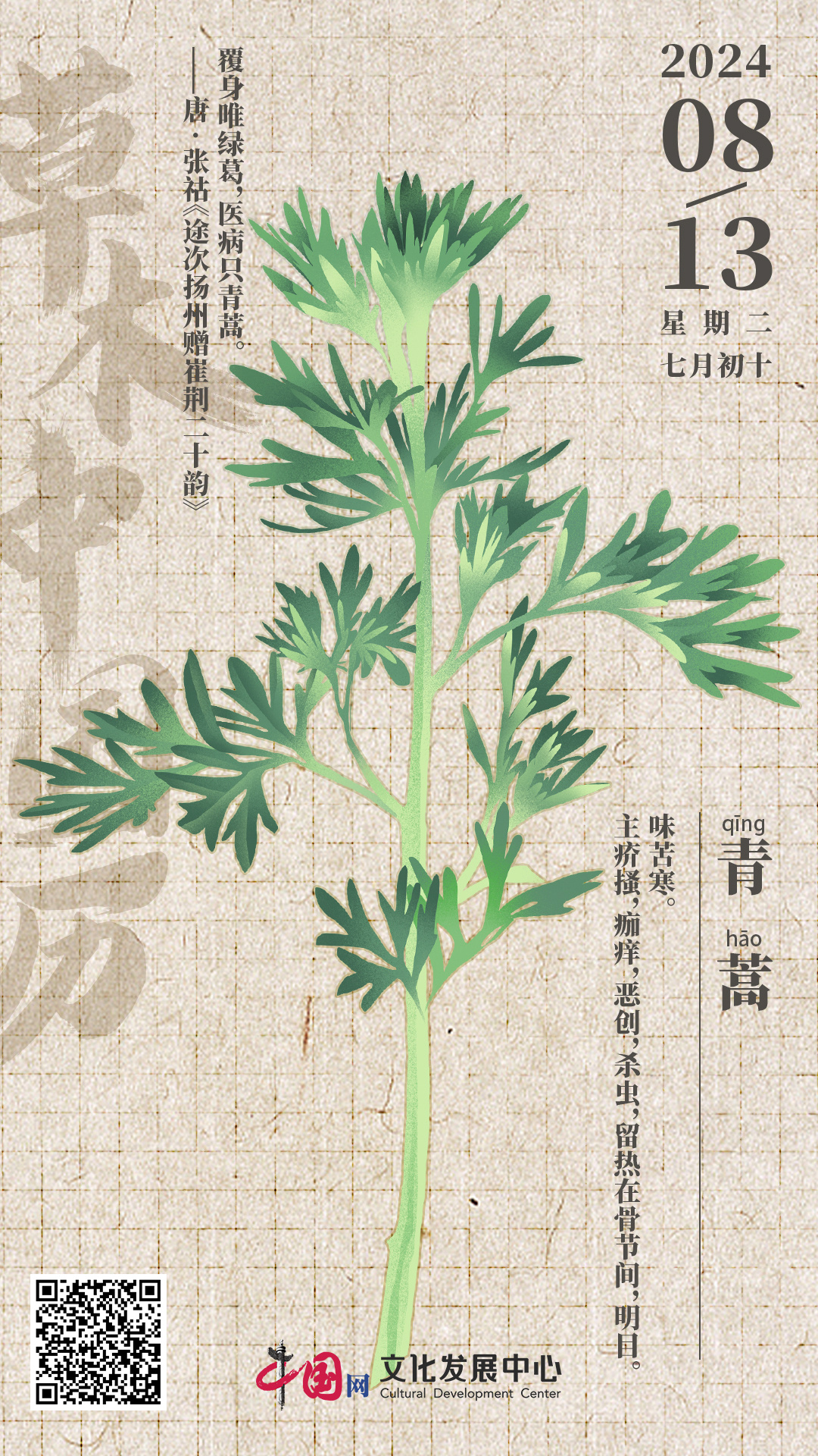 青蒿行情,青蒿行情与友情的小确幸
