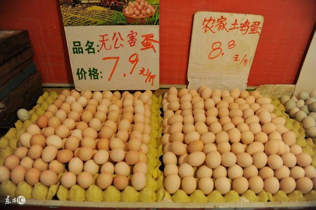 当前鸡蛋价格行情分析与展望
