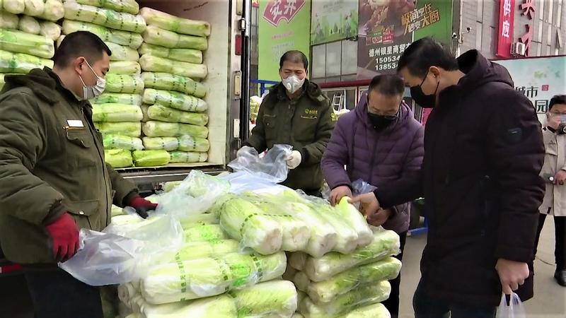 德州市场最新菜价更新，全面指南