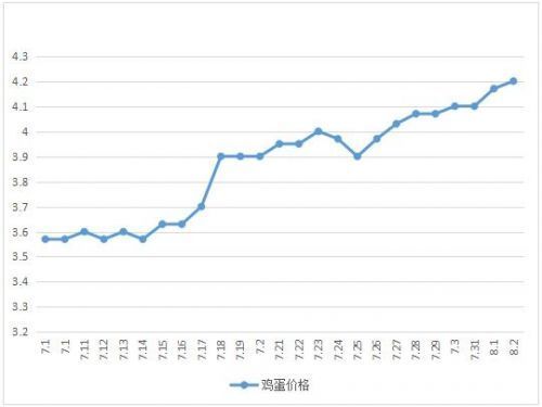 滕州鸡蛋价格实时行情播报