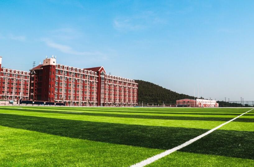 山东大学动漫设计专业，自然美景中的探索之旅