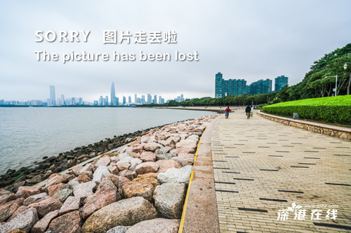 深圳西部公汽最新招聘，行业趋势与个人选择的交汇点