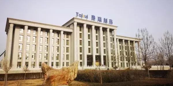 深度剖析，最新宁东鸡窝的背景、事件与地位