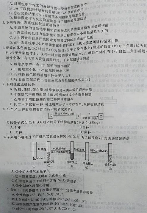 最新概念答案，拥抱变化，自信成就梦想之旅