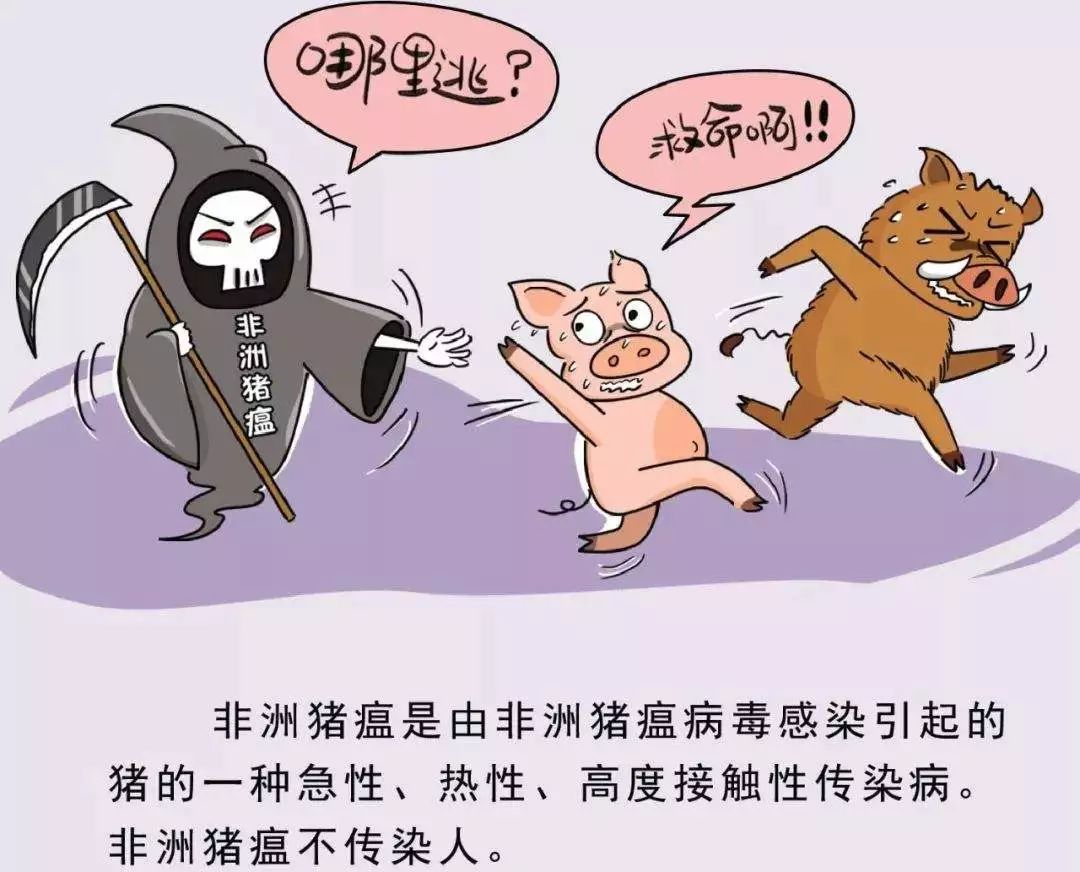 最新病毒实情与小巷深处的神秘美食探秘之旅